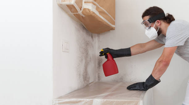 Professional Mold Inspection technician working in Jordan, NY